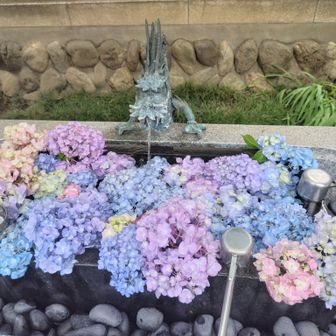 紫陽花の花手水　可愛い♡