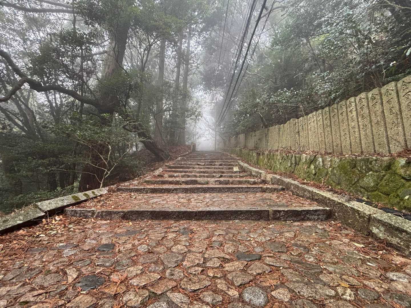 旧天上寺へ向かう石段も
雨に濡れて雰囲気は出ていますね。

上野道に合流してからも、
相変わらず登る人は少ないです。