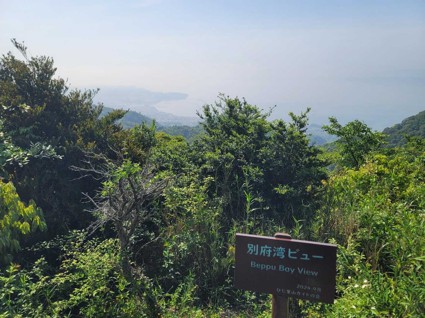 真ん中の🌳ジャマやなぁ😑