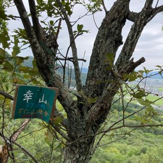幸山⛰️初めて来ました😅