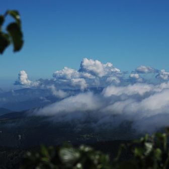 雲海