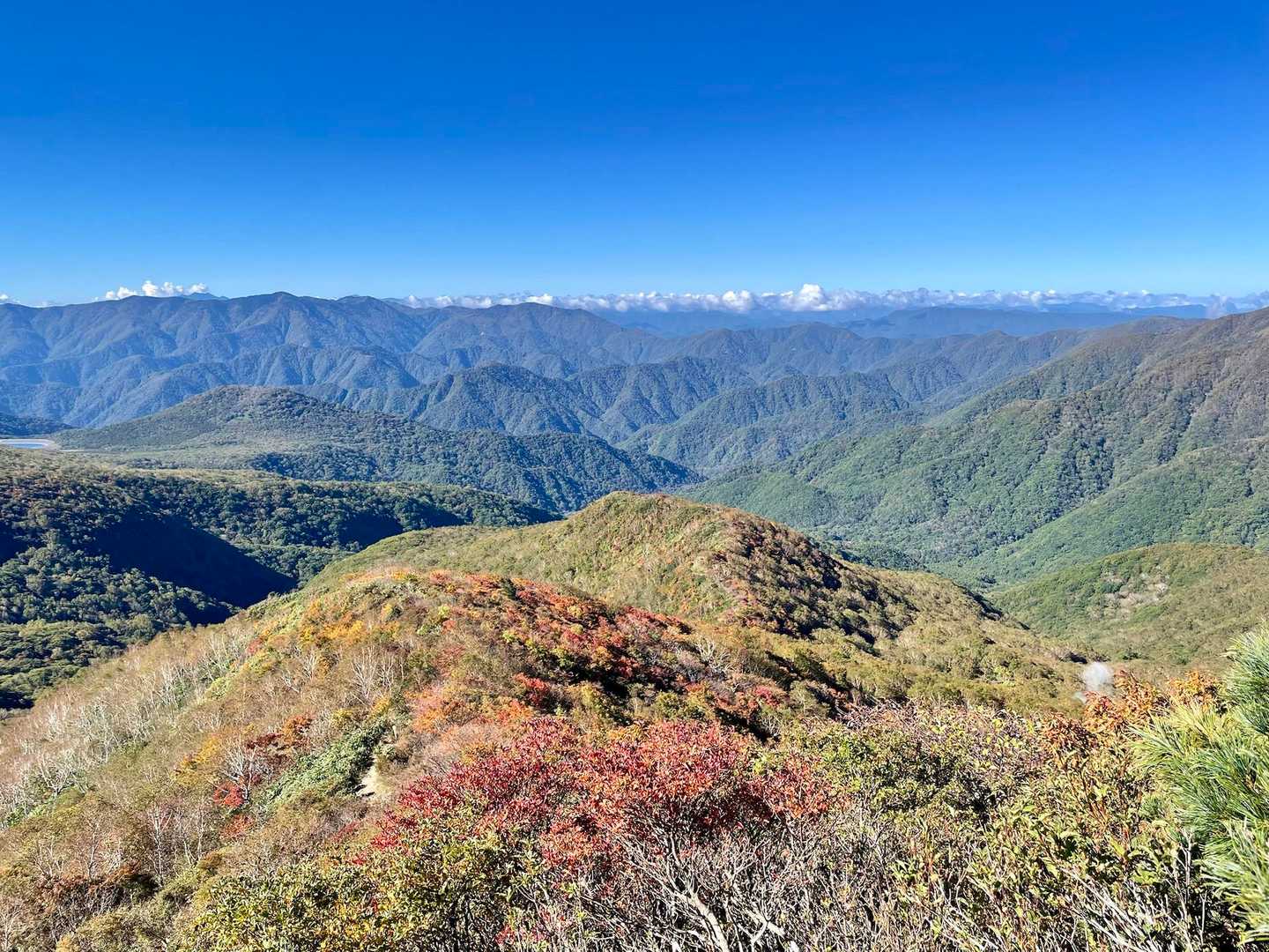 紅葉も鮮やかに映えます。