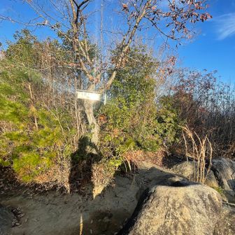火山山頂
山頂プレートが反射して、文字が見えない。
自分が写した影が、まるで立っているよう。
山頂は、私ひとり。

＊火山487.8m三角点有り