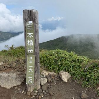 山頂までの道はかなり細くてぬかるみ注意⚠️
