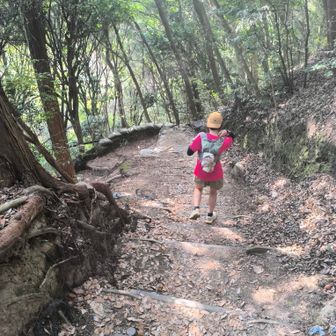 娘迎えに来てくれました🙇