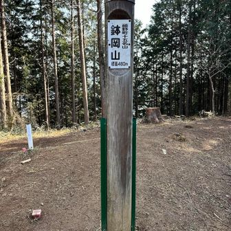 鉢岡山（標高460m）に到着です❗️
山頂には、戦国時代の烽火台跡があります。北条氏が対抗する武田氏に備えて張り巡らした狼煙の一つです。