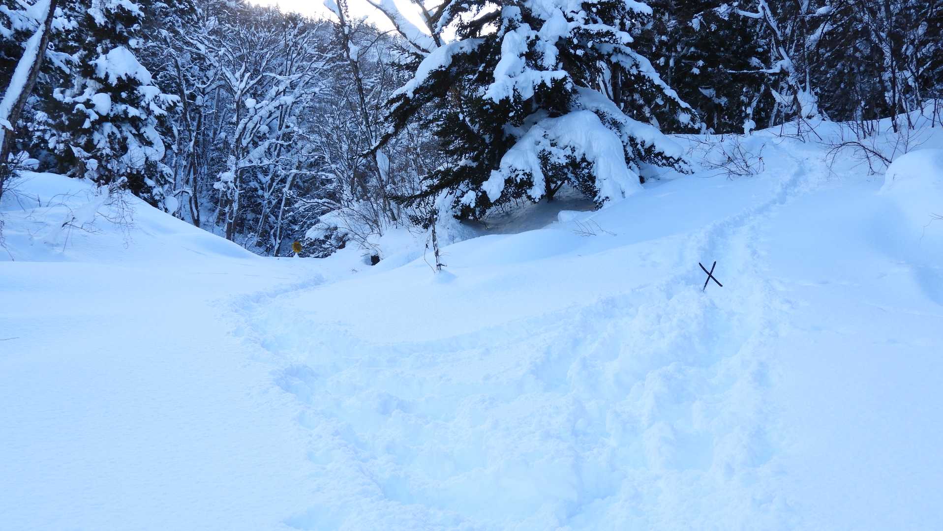 最初に撤退した小沢へのトレースの上には枯れ枝で✕を作っておきました。(;^_^A