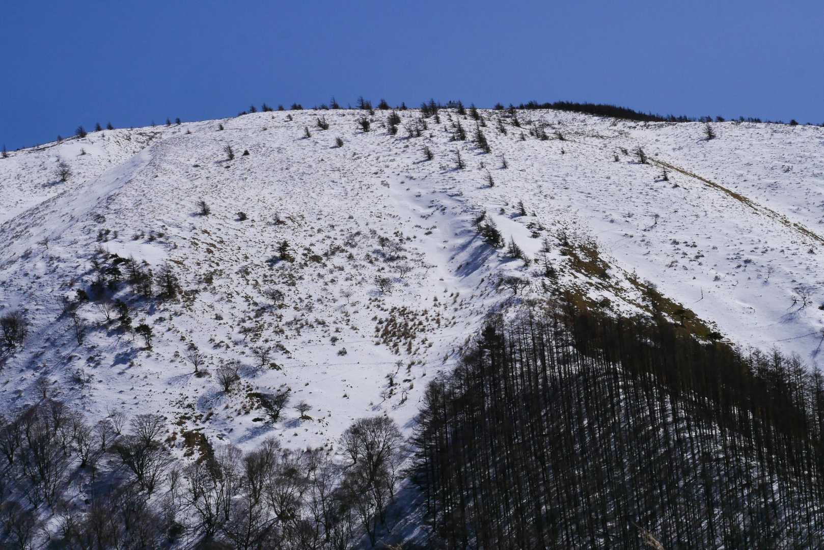 はじめまして
あなたが鉢伏山ですかい？