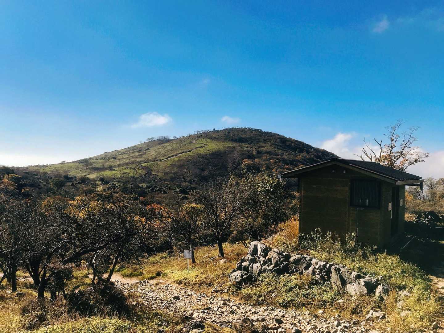 藤原岳(とトイレ)
藤原山荘分岐より