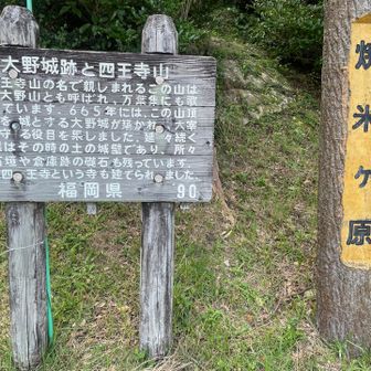 今回はリハビリなんでここまでだが、ピークまで行ってないんでこれを「登山」と言ってもいいものか😅
