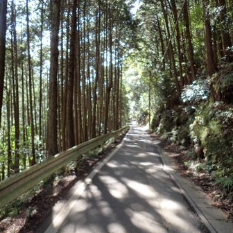 ＪＲの駅までは車道を歩きます🚶‍♀️