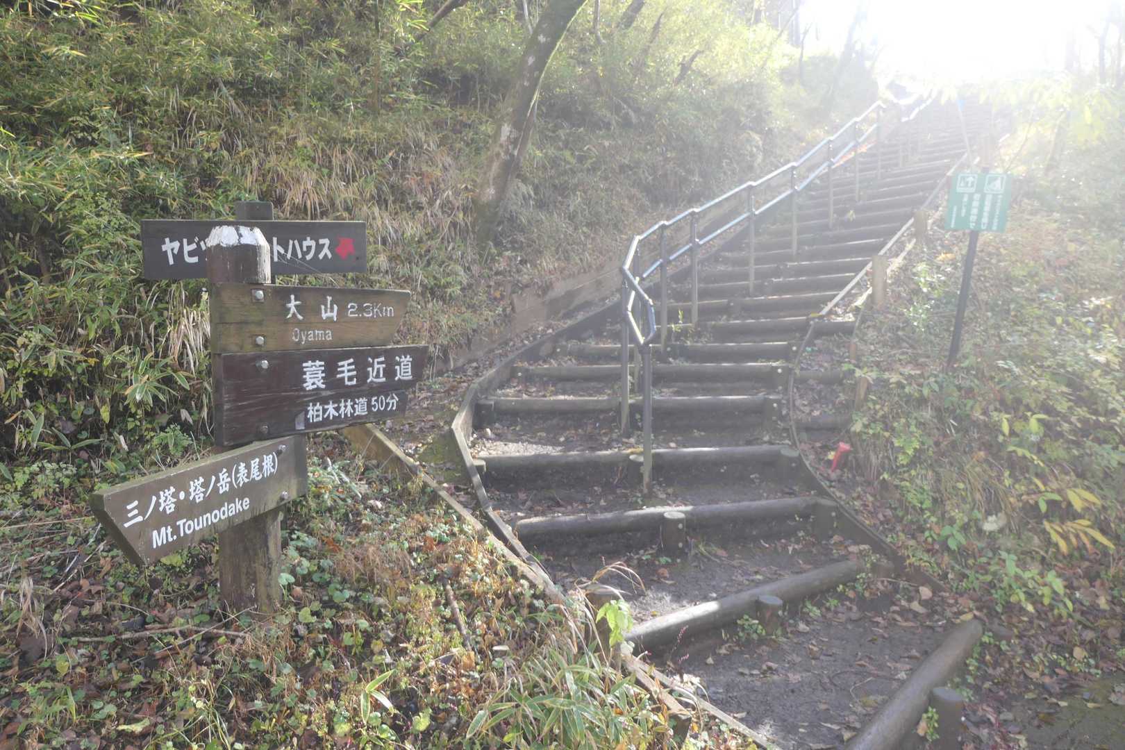 ヤビツ峠からイタツミ尾根で大山に向かいます。
