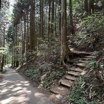 最初の坂道まで戻って来ました♪