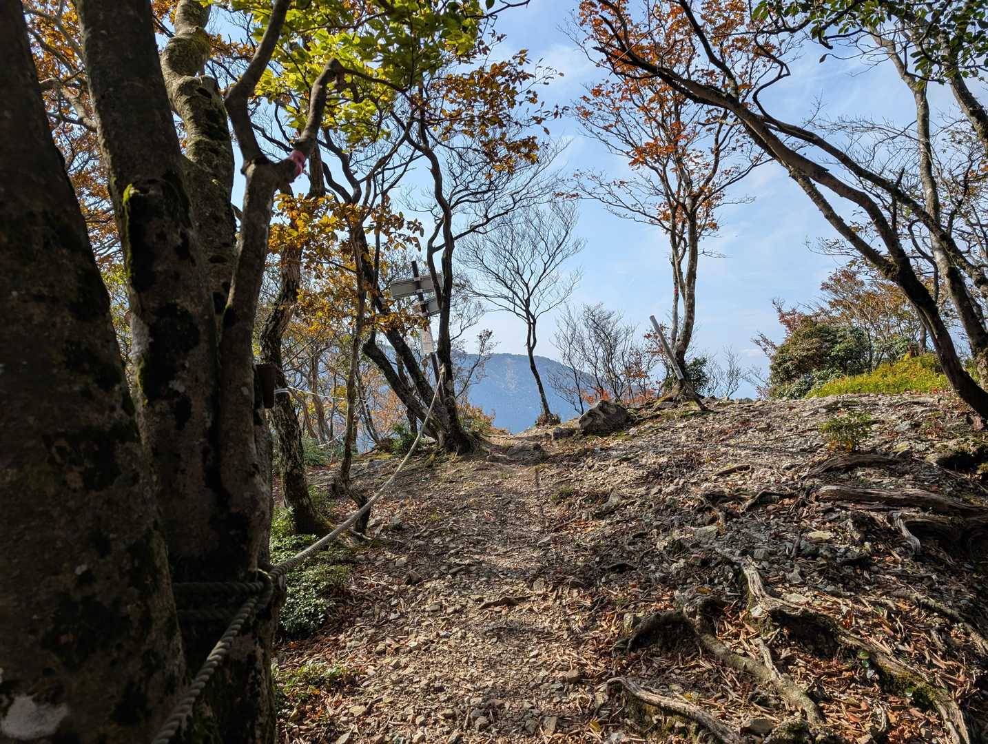 鞍掛峠・三国岳の分岐まで戻ってきました。
焼尾山でキレイな紅葉も見られたしこれで下山しても良いのですが😆、時間もありますので三国岳に向かいます。
気を抜いて怪我をしてはいけませんので、小休止をして気合いを入れ直し、山行再開です👍