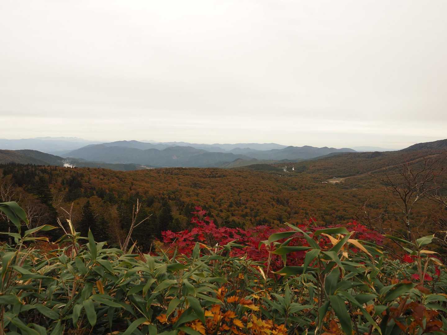 紅葉が素晴らしい