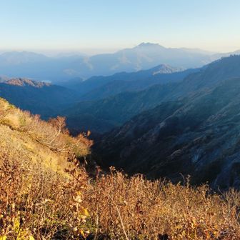 夕暮れに🌄
話を聞くと単独女性の方はバスで笹ヶ峰。
そこから私達と同じく徒歩で
杉野沢橋から富士見峠まで
明日、雨飾山方面に向かうそう
お気を付けて!