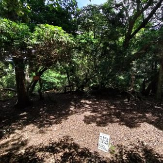 貴船山の三角点、699ｍ