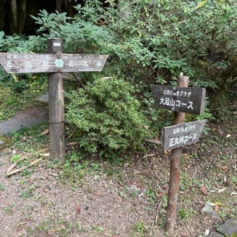 2週間前に登り始めた登山口に
下りてきました👍
お疲れさんでした🫡