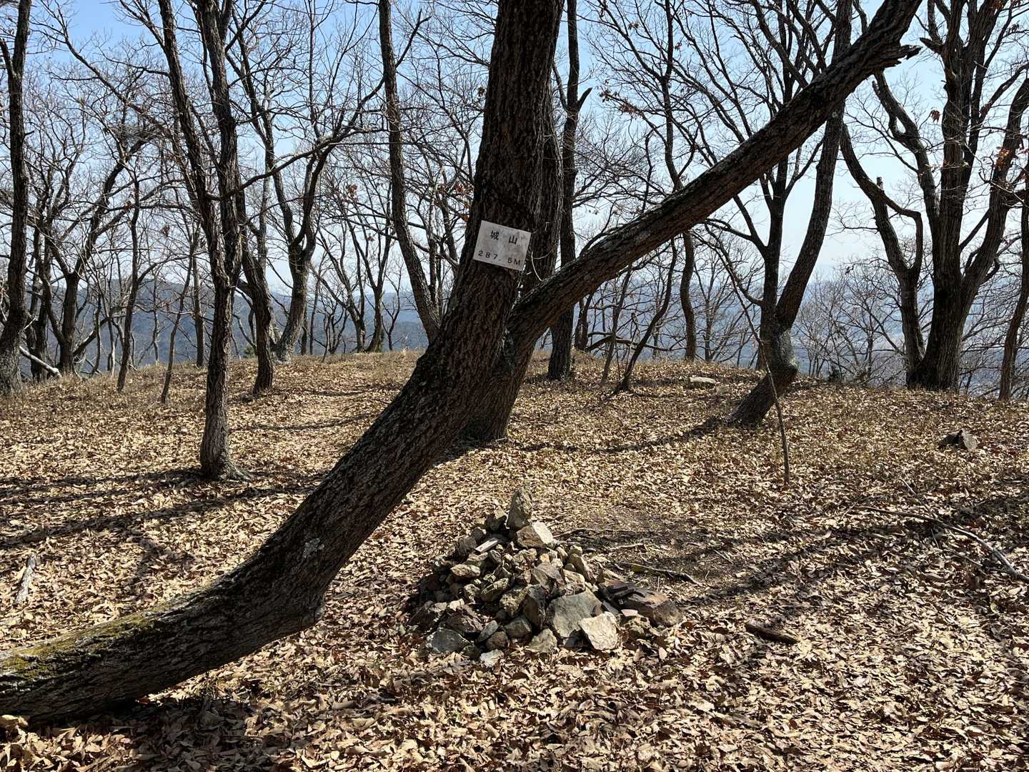 城山🚩…全国に星の数ほどある山名だけどね😅