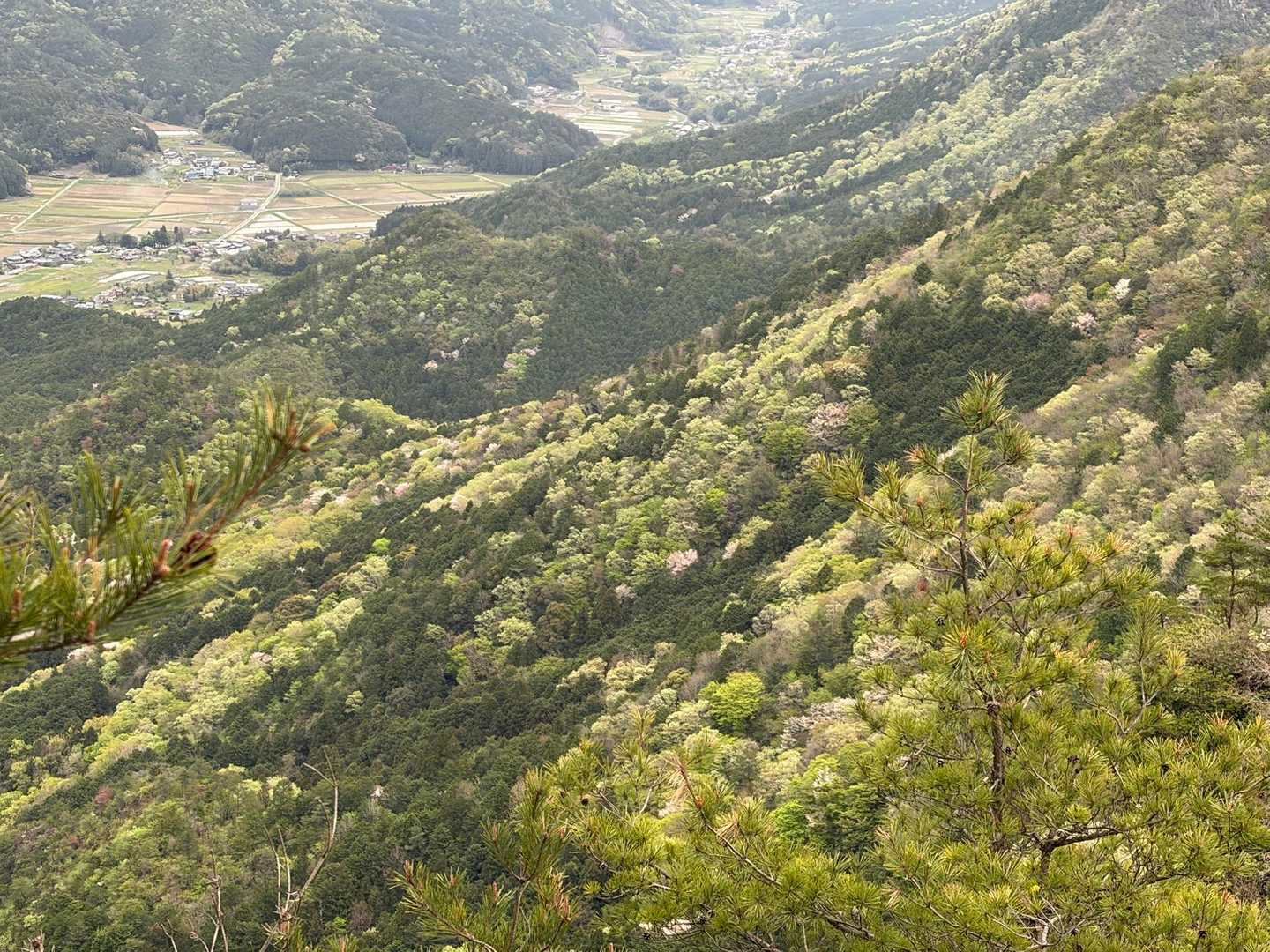 山肌がモザイクみたいにキレイ🥰
