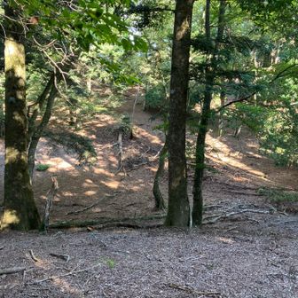 山頂から少し降りたところ
広場みたいになっています