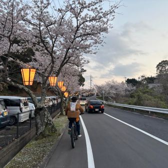 流石に観光地。
平日なのに大盛況。