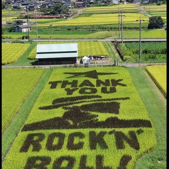 あこ✰ﾄﾚｼﾞｬｰ.ﾊﾝﾀｰ⁸³⁰✰