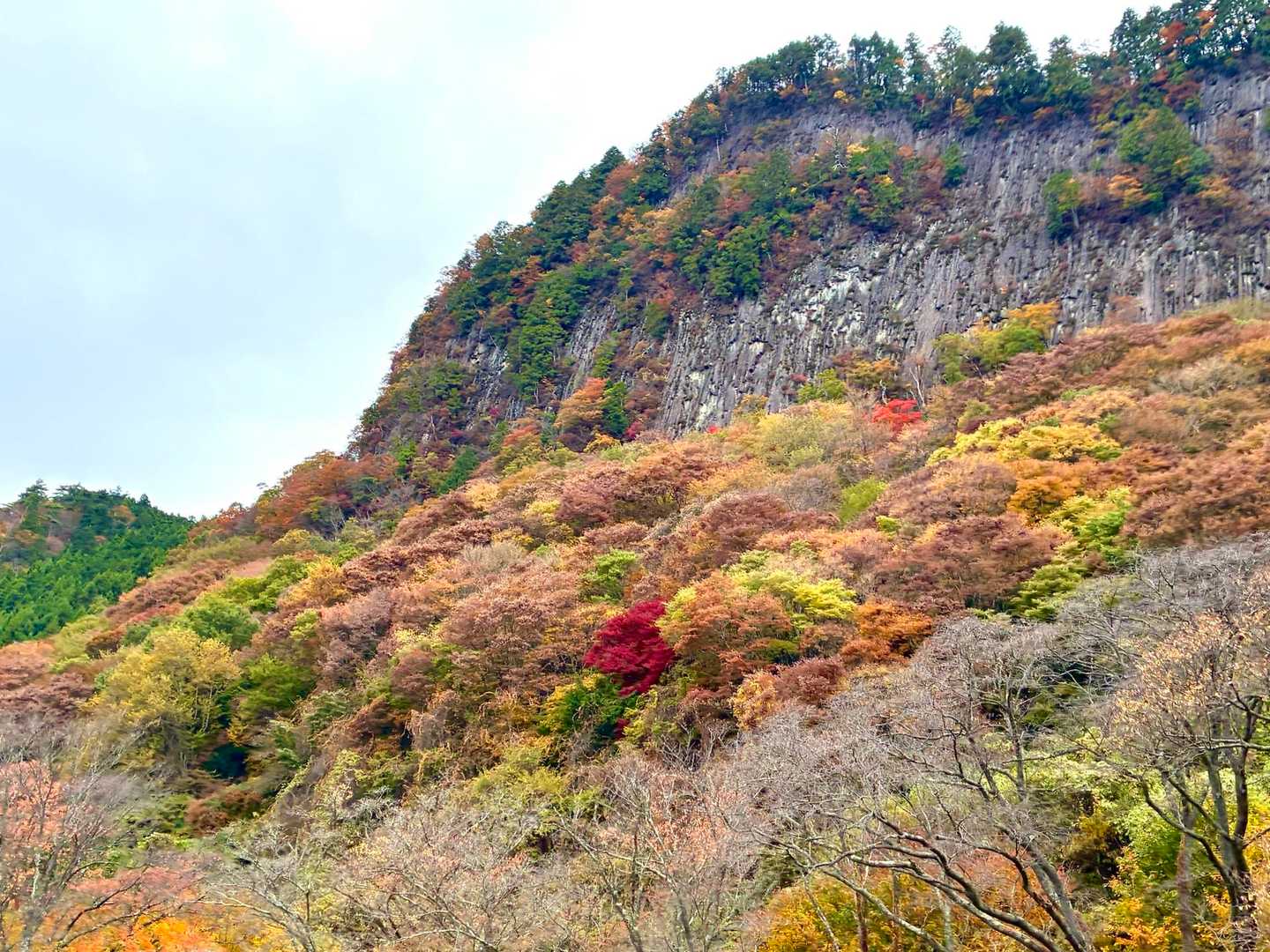 屏風岩と紅葉🍁のコラボが素敵すぎます
すでに大満足😀で登らなくてもいいやって感じでした