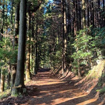 お天気☀️いいんじゃない✨