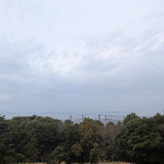 黄砂か花粉か見えにくい