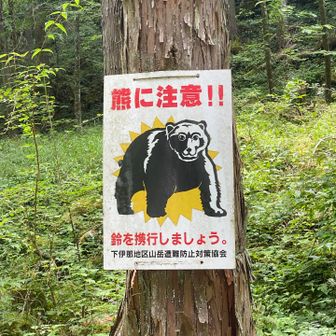 昨日も見た看板だな🐻