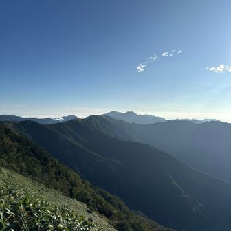 正面に剣山⚔️