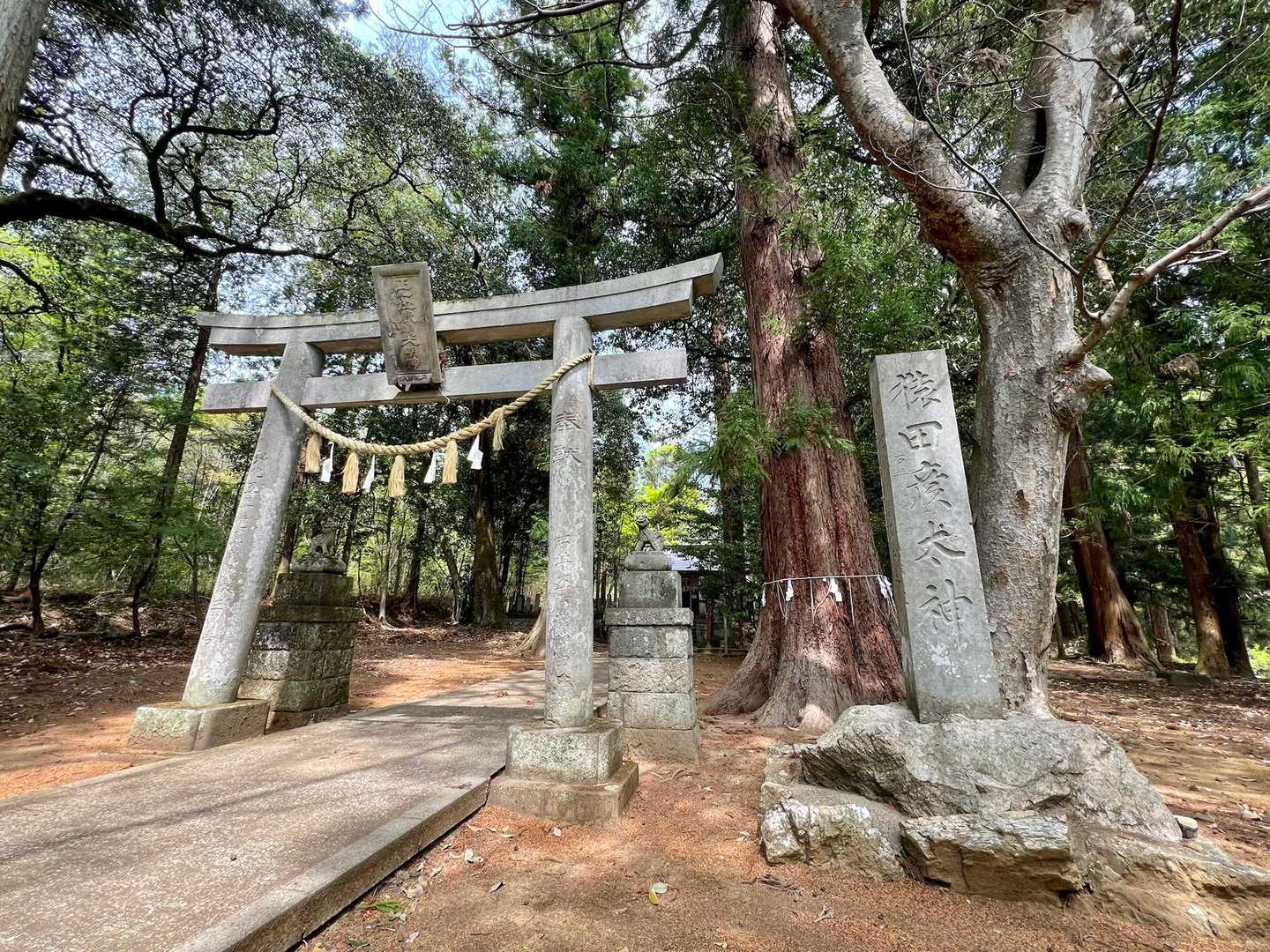 鹿嶋神社からスタート⛩️
初心者向けの低山とは言え、険しい箇所もある三床山。昨年は熊の出没情報もあったので、まずは安全祈願です🙏
