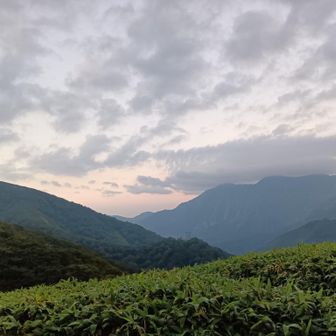 3日目、清水峠白崩避難小屋。
日の出の時刻です。
ゴボウ沢左岸の尾根。右奥は谷川岳。