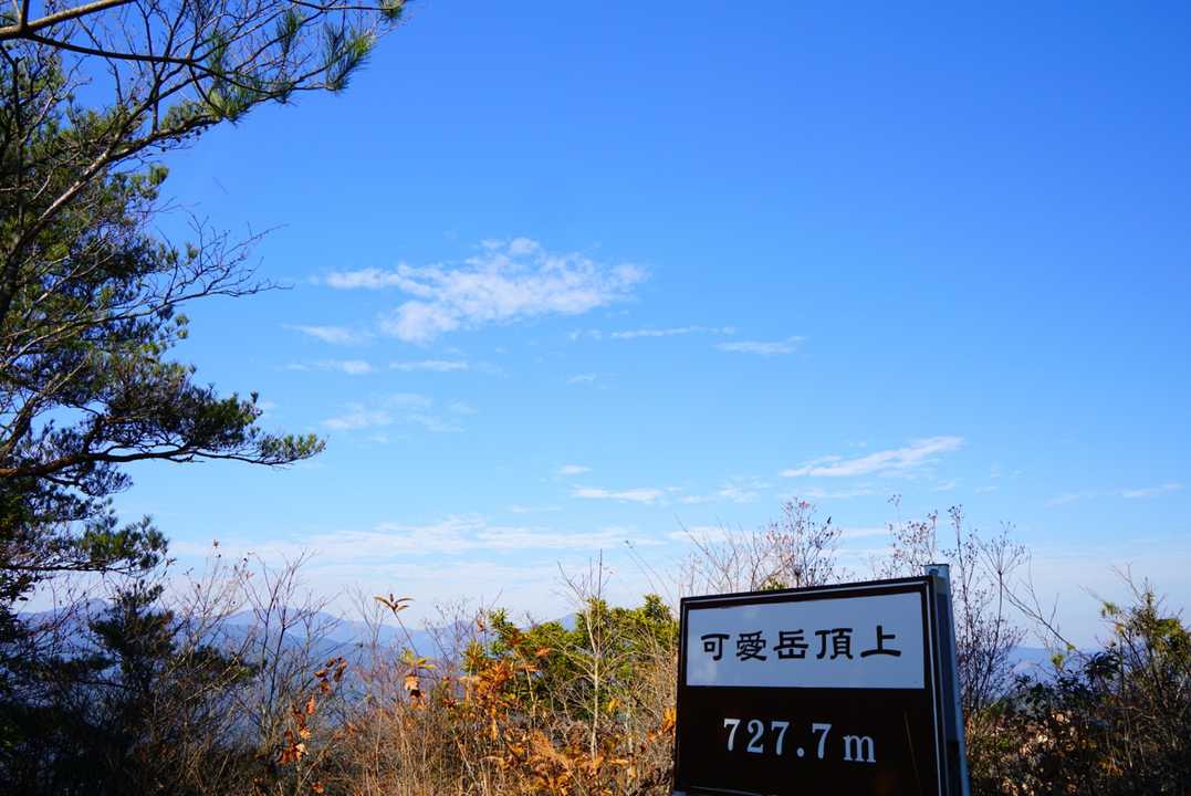 可愛岳登頂👏👏👏
手入れあんまされてないです💧