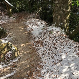 キャンセンへ行く道