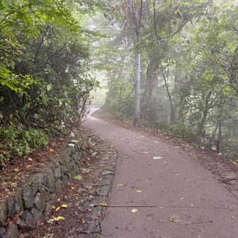 雲の中に入ったのか、真っ白になってきた