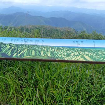 全然わかんないけど、き、気にしない。。