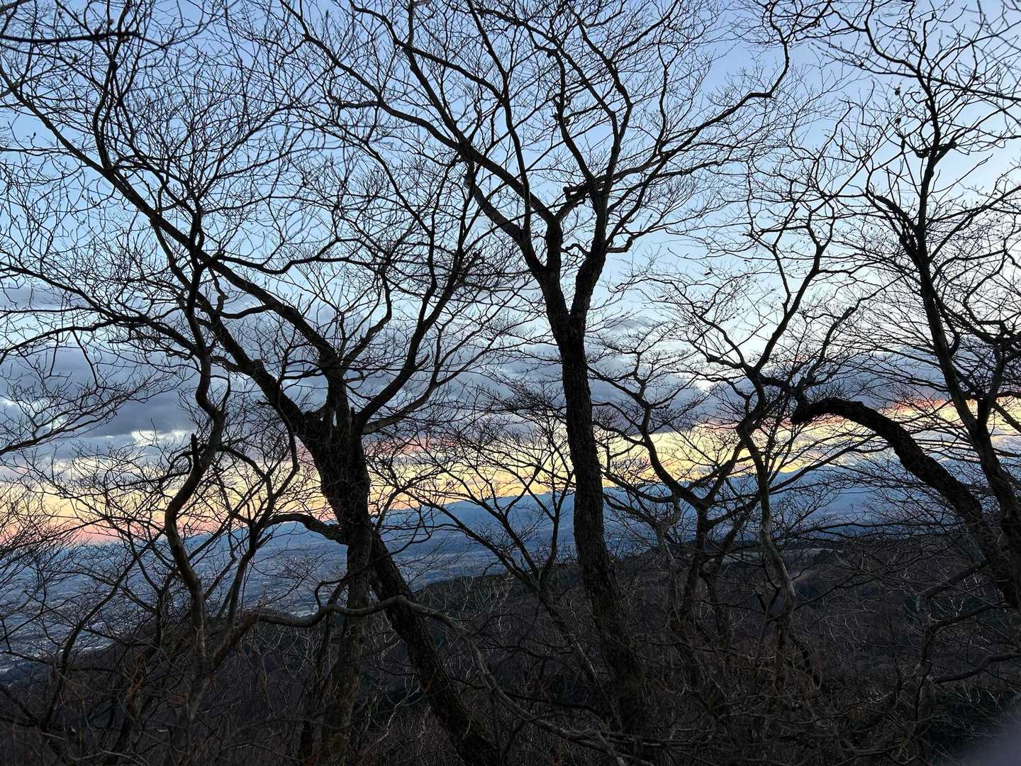 行きは明るく帰りは真っ暗。
空が夕焼けに染まり始めます