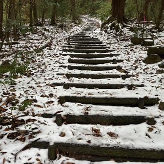 300段近い枕木階段