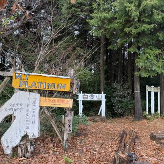 白金山
確かにプラチナ山だ