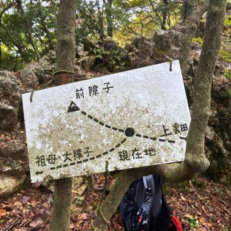ガスで眺望もなく岩場も危険と判断して登らず😓