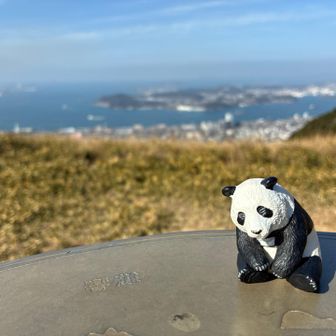 山座同定盤（方位盤）　より撮影