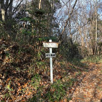 広島南アルプスの尾根に着きました
伴峠(旧三田峠)