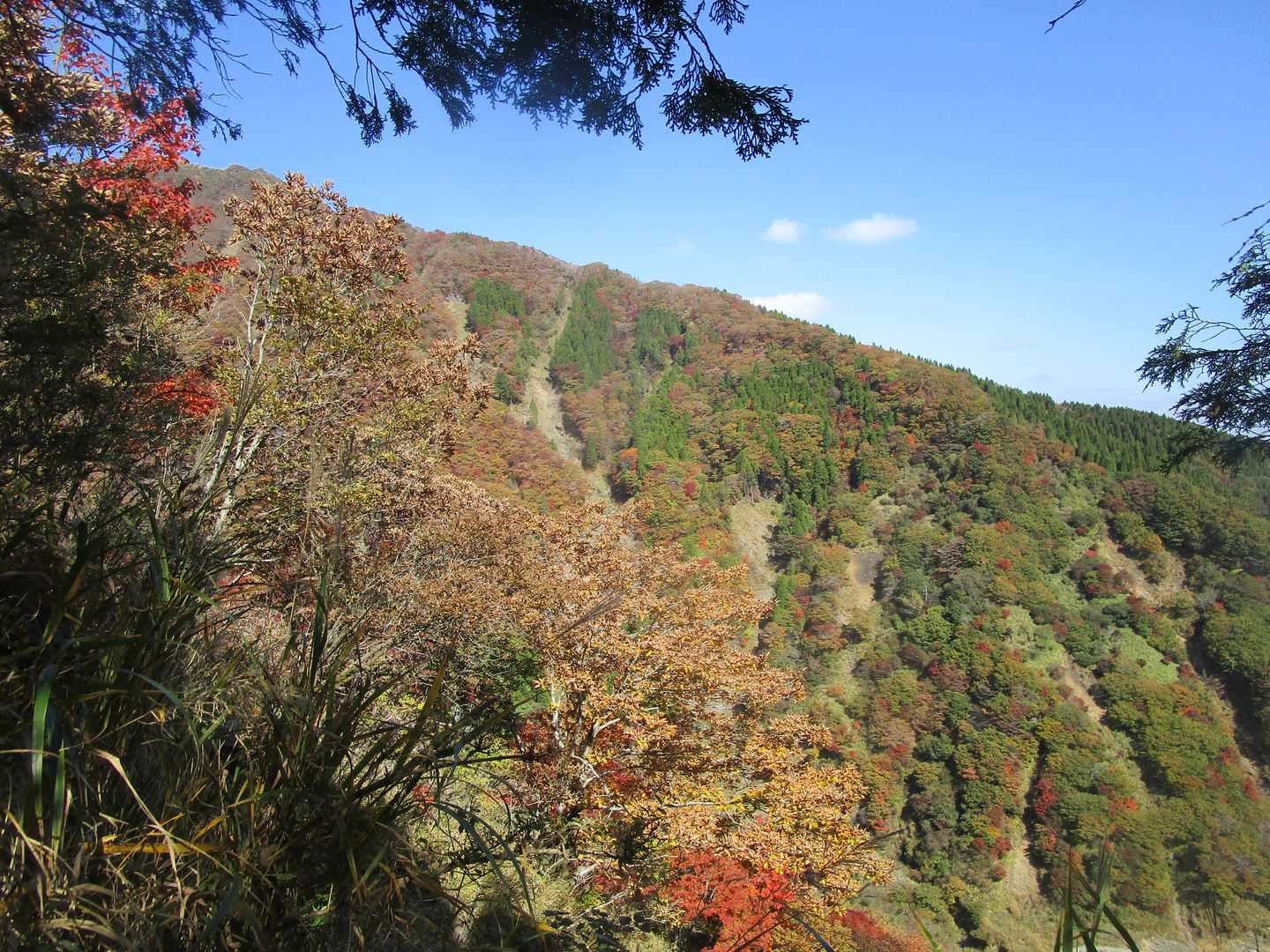 大戸尾根登山口-根子岳 往復コースの写真