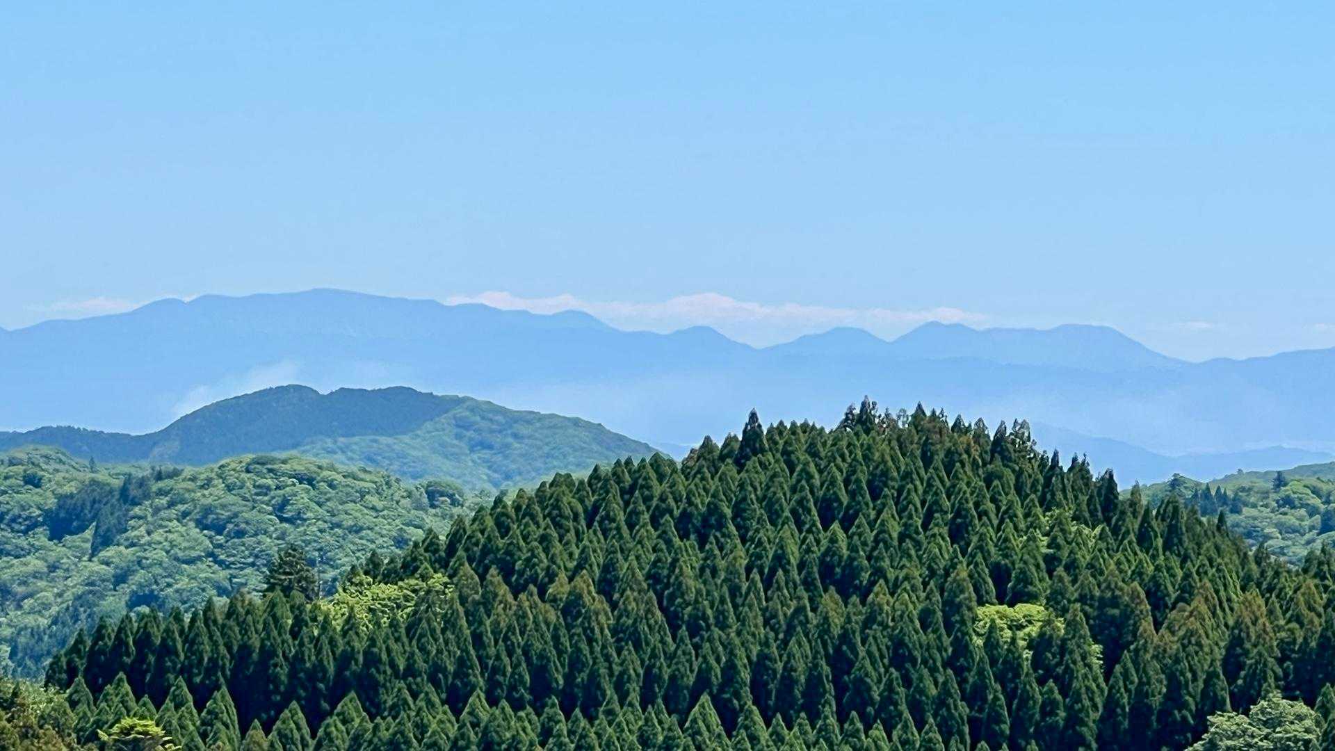 花脊高原前バス停-雲取峠-雲取山 往復コースの写真
