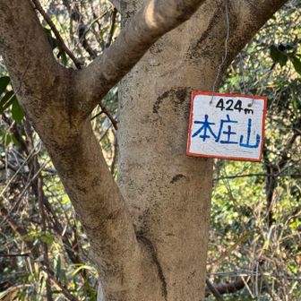 次のピーク、本庄山。