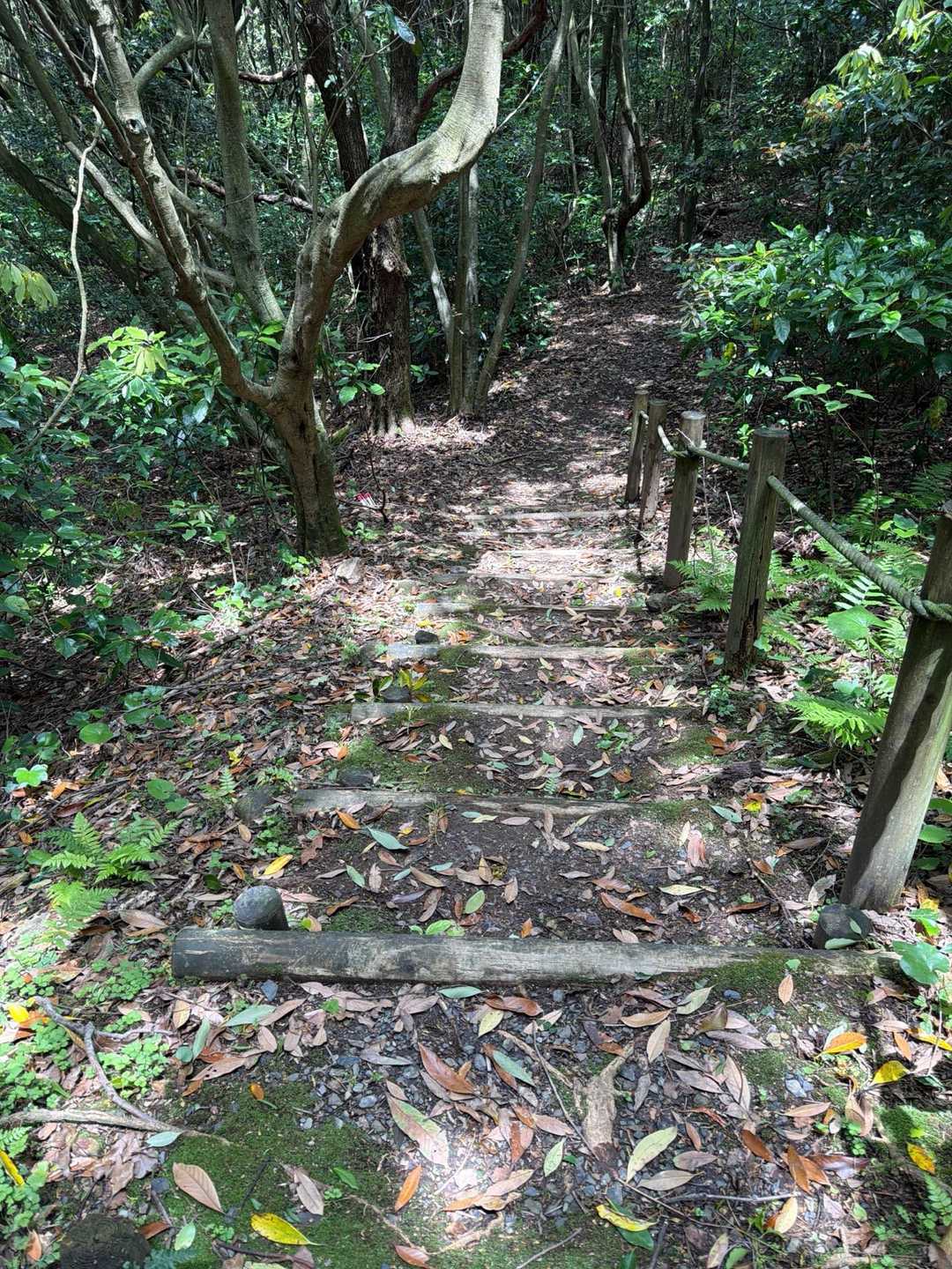 牧神山 周回コースの写真