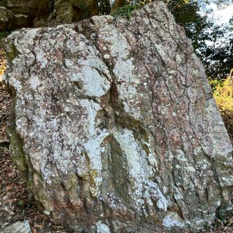 この岩石は赤色チャート。
今日、ここまで歩いて来たルートには砂岩と泥岩ばかり。初めて、違う岩石が登場。