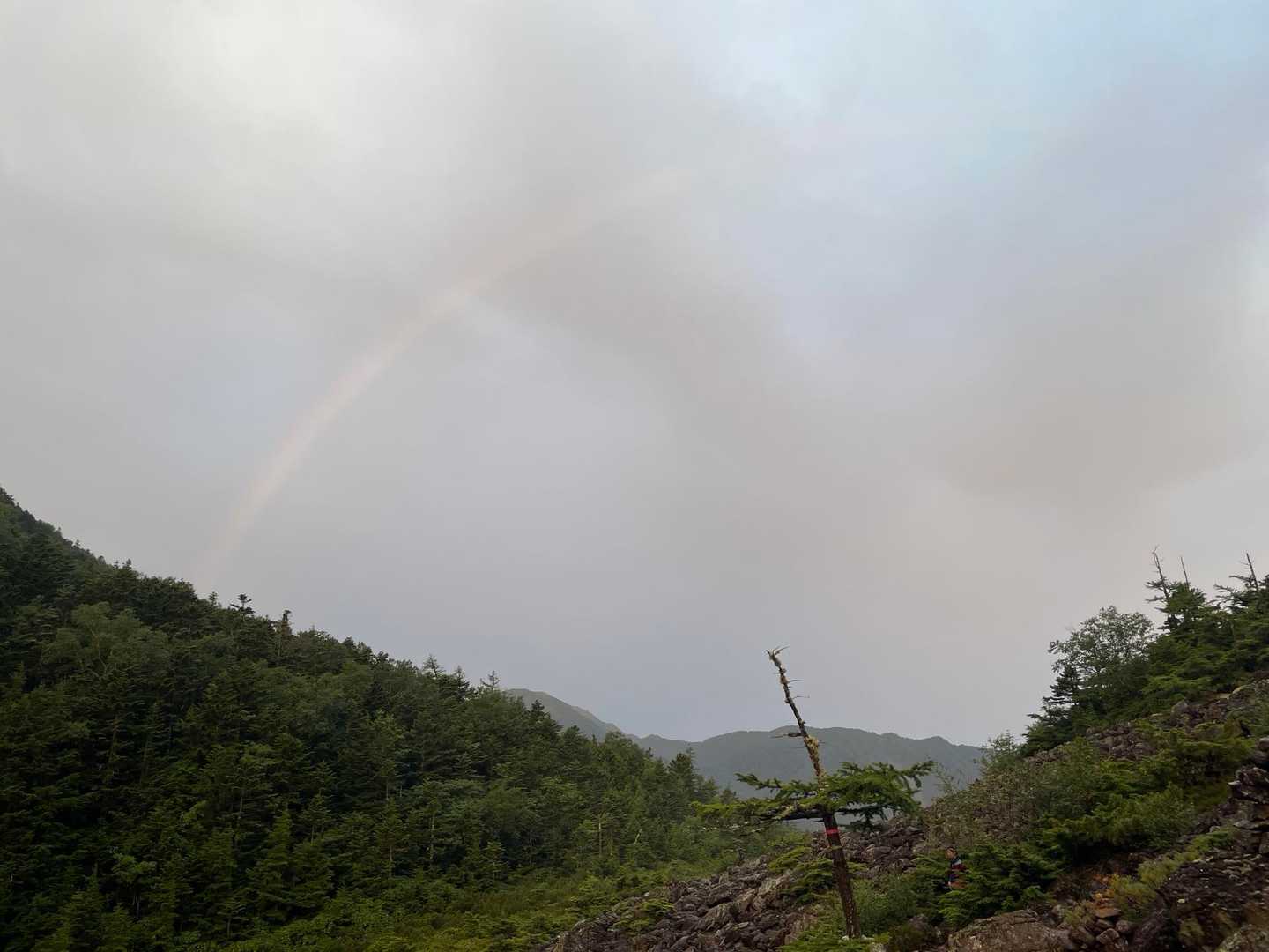 振り返ると虹が🌈